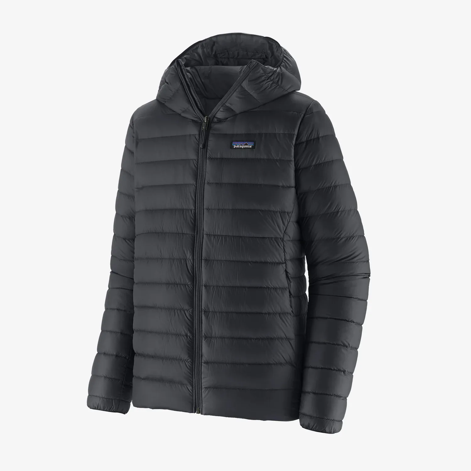 Patagonia Men's Down Sweater Hoody - Black