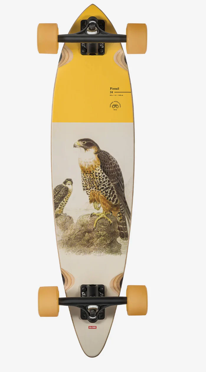 PIN TAIL 34